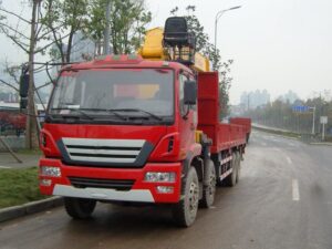 Ruilon 270Horsepower 8X4 31Ton Truck Mounted Crane